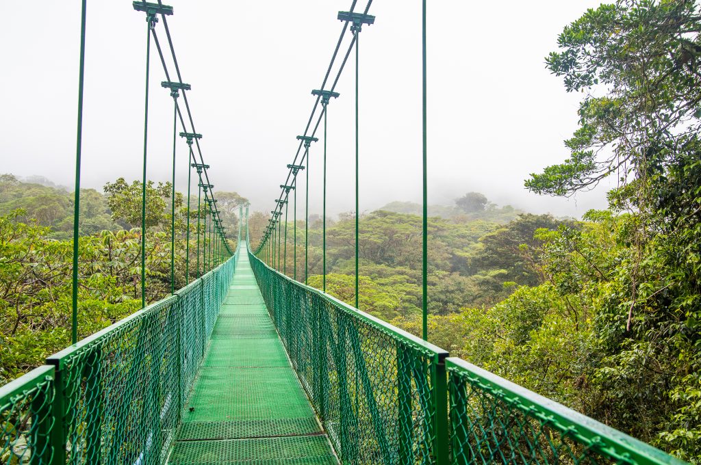 Monteverdes molnskogsreservat