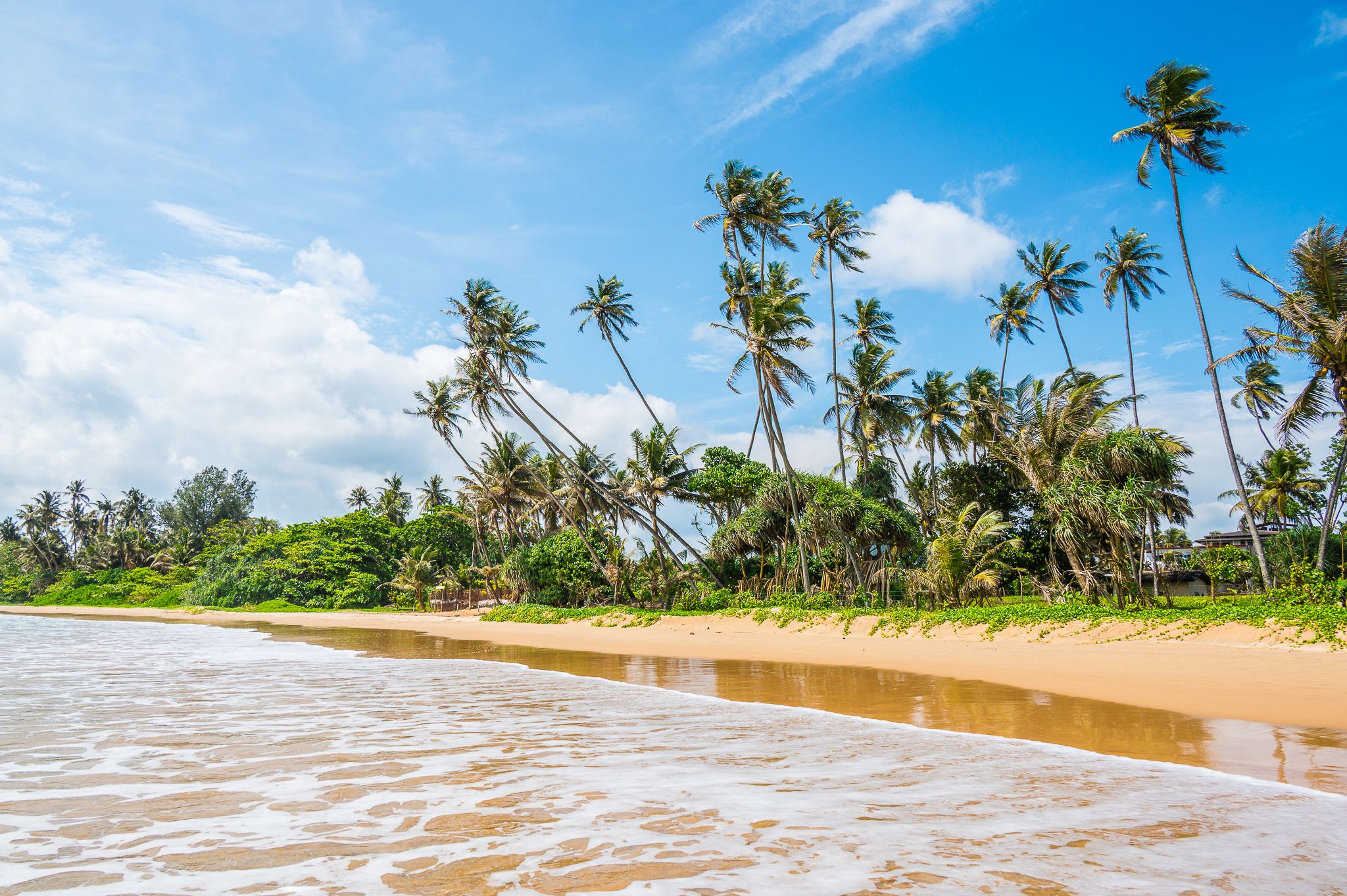 Tre veckor på Sri Lanka